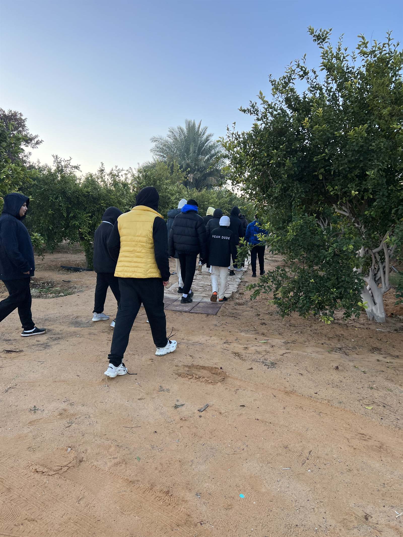 طلاب يسيرون في ممر بين المزارع في العلا